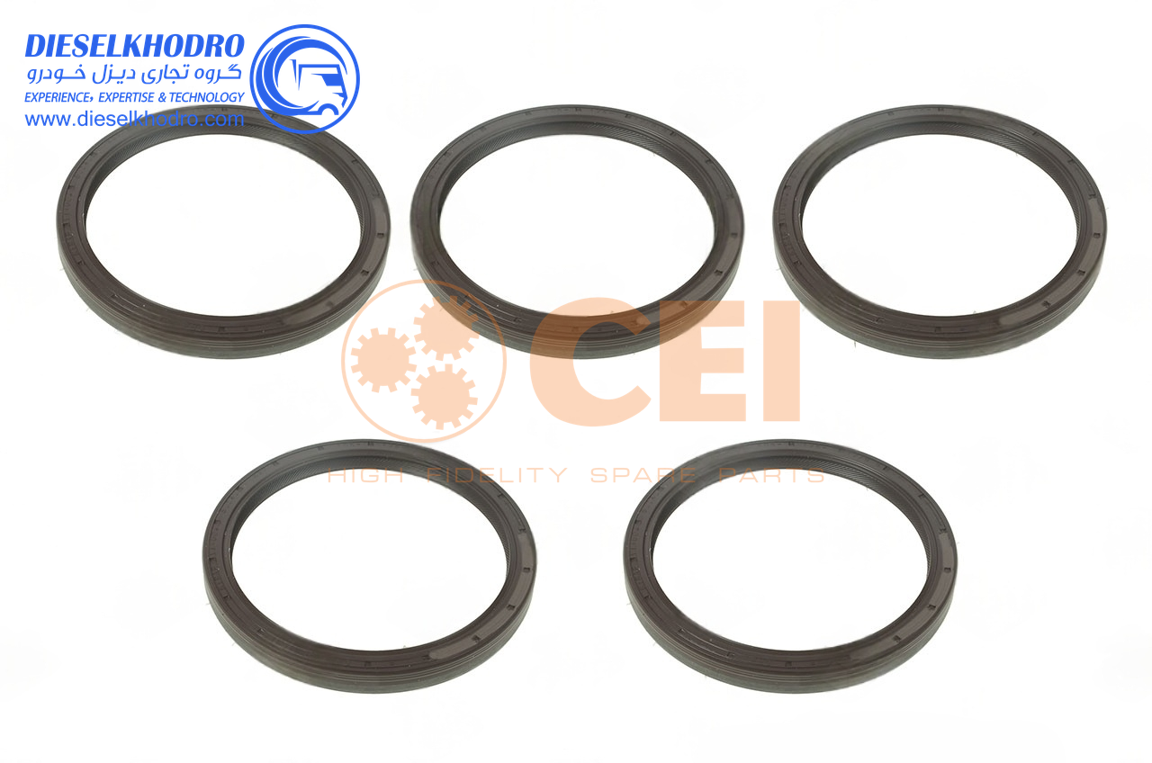 کاسنمد عقب گیربکس 221 جدید(12/9*125*105)