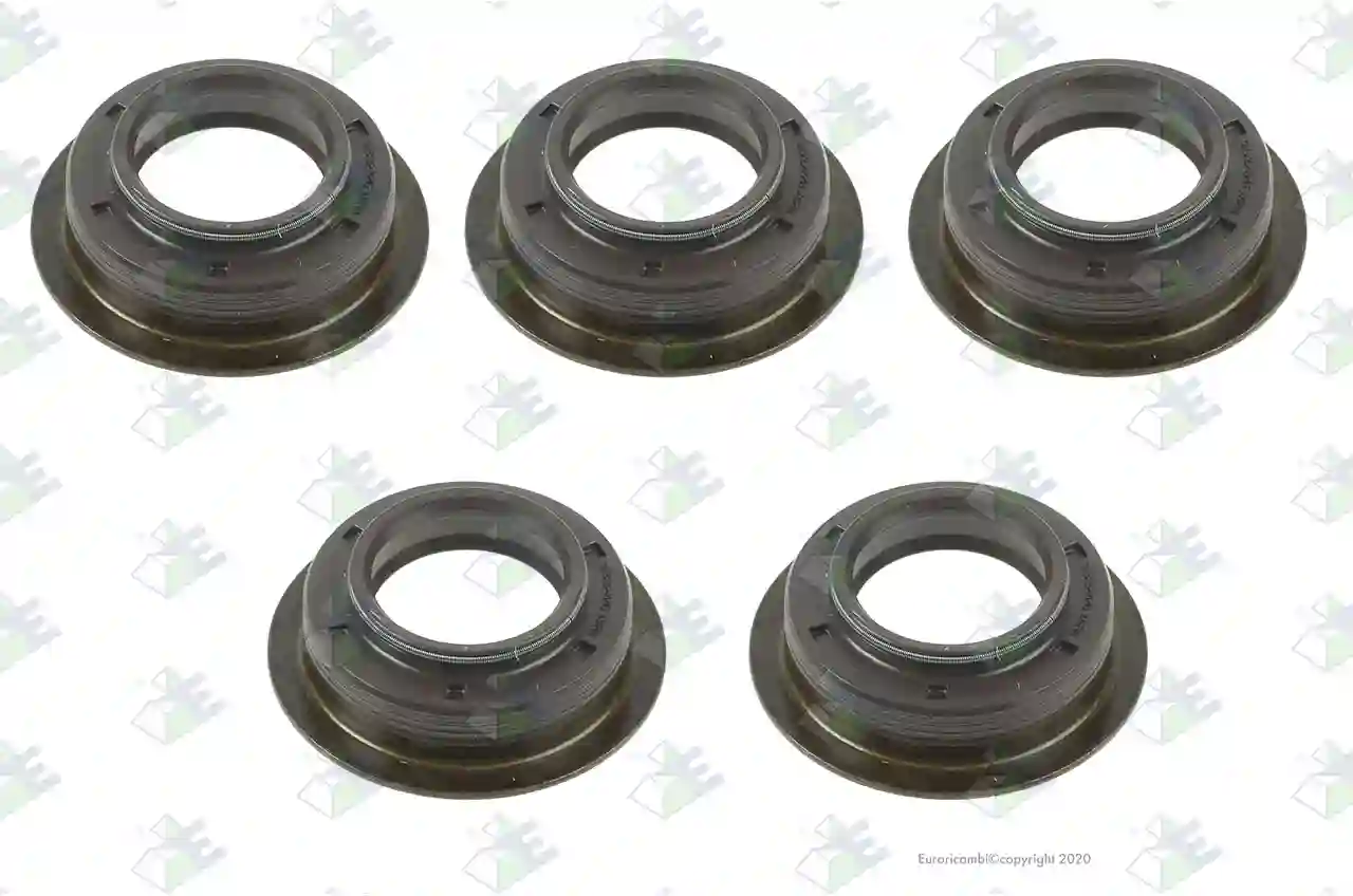 کاسنمد شابگاهی(151) 25*40*14